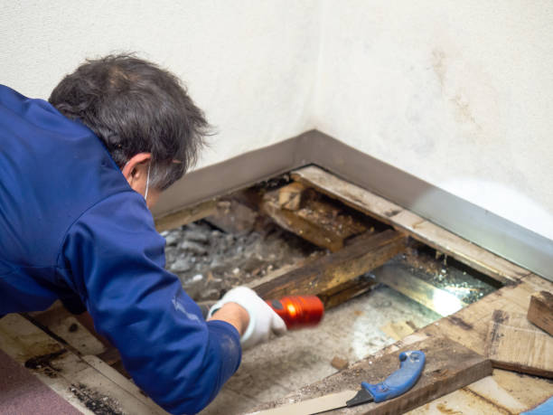 Water Damage Restoration in Smackover, AR