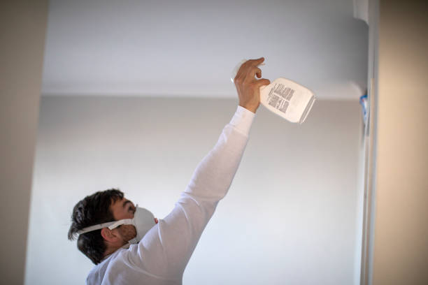 Best Toxic Mold Removal  in Smackover, AR