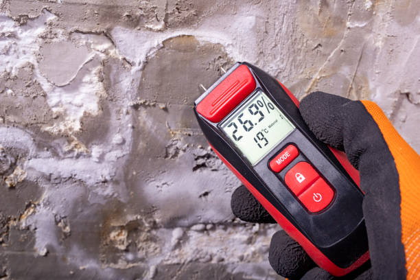 Best Mold Testing  in Smackover, AR
