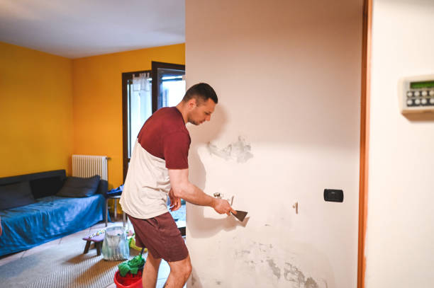 Certified Mold Removal in Smackover, AR