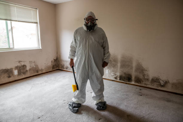 Best Residential Mold Removal  in Smackover, AR